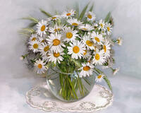 Без бренда «2KMA-0021» в Архангельске 