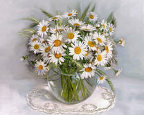 Без бренда «2KMA-0021» в Архангельске 