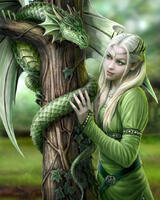 Без бренда «Эльфийка и зеленый дракон» в Архангельске 