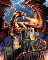 Без бренда «Дракон огня и молний» в Архангельске 