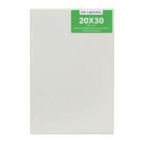 Без бренда «Коробка 80 шт.: Холст Две картинки на подрамнике 20X30» в Архангельске 