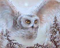 Без бренда «Полярная сова над лесом (20шт)» в Архангельске 