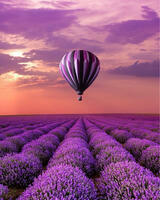 Без бренда «Фиолетовый воздушный шар над фиолетовым лавандовым полем (20шт)» в Архангельске 