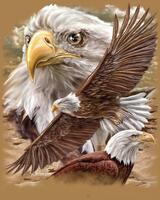 Без бренда «Коробка 20 шт: Орёл крупным планом» в Архангельске 