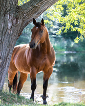 Без бренда «BOX20-2KMB-4594» в Архангельске 