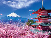 Без бренда «BOX20-2KSB-7277» в Архангельске 