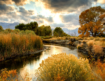 Без бренда «BOX25-GX29355» в Архангельске 