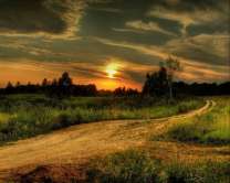 Без бренда «Проселочная дорога на закате» в Архангельске 