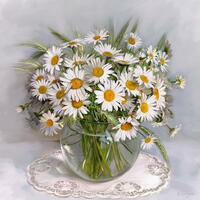 Без бренда «Букет свежих ромашек» в Архангельске  в интернет-магазине  Без бренда «Букет свежих ромашек» в Архангельске