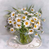 Без бренда «Букет свежих ромашек» в Архангельске 