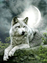 Без бренда «Коробка 25 шт. картин по номерам BOX25-GX21058» в Архангельске 