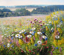 Коробка 25 шт. картин по номерам BOX25-GX27910