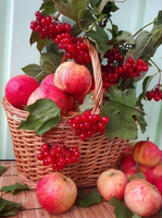 Без бренда «Коробка 25 шт. картин по номерам BOX25-GX5174» в Архангельске 