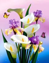 Букет кал и ирисов