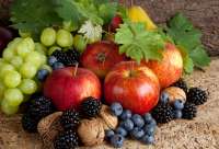 Без бренда «Фрукты, ягоды и орехи» в Архангельске в интернет-магазине Без бренда «Фрукты, ягоды и орехи» в Архангельске