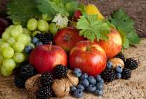 Без бренда «Фрукты, ягоды и орехи» в Архангельске 