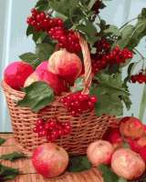 Без бренда «Плетёная корзина с калиной и яблоками» в Архангельске 