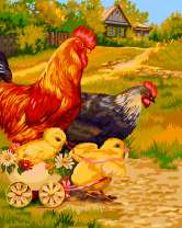 Петух и курица с цыплятами
