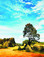 Без бренда «Осенний пейзаж с голубым небом» в Архангельске  в интернет-магазине  Без бренда «Осенний пейзаж с голубым небом» в Архангельске