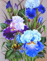 Пчелка на ирисах