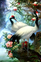 Без бренда «Коробка 25 шт. картин по номерам BOX25-GX29399» в Архангельске  в интернет-магазине  Без бренда «Коробка 25 шт. картин по номерам BOX25-GX29399» в Архангельске