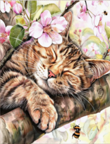 Без бренда «Волосатый котик спит на ветви яблони» в Архангельске в интернет-магазине  Без бренда «Волосатый котик спит на ветви яблони» в Архангельске