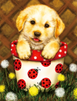 Щеночек в красочном горшке