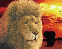 Лев на закате дня